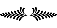 Avik Enterprise